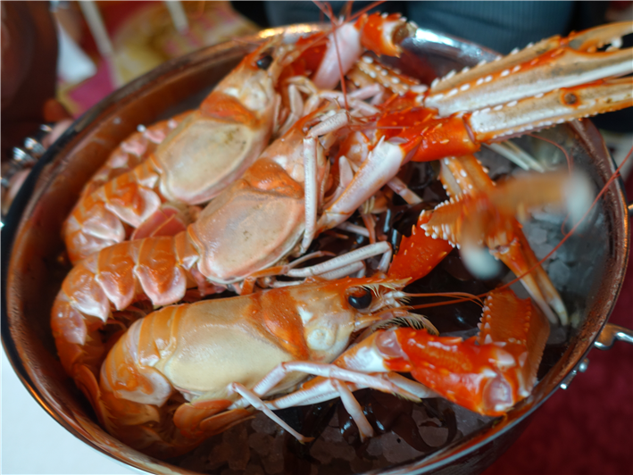 live Scottish langoustines